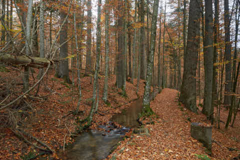 Gemeinde Bayerisch_Eisenstein Landkreis Regen Hans-Watzlik-Hain Kanal (Dirschl Johann) Deutschland REG